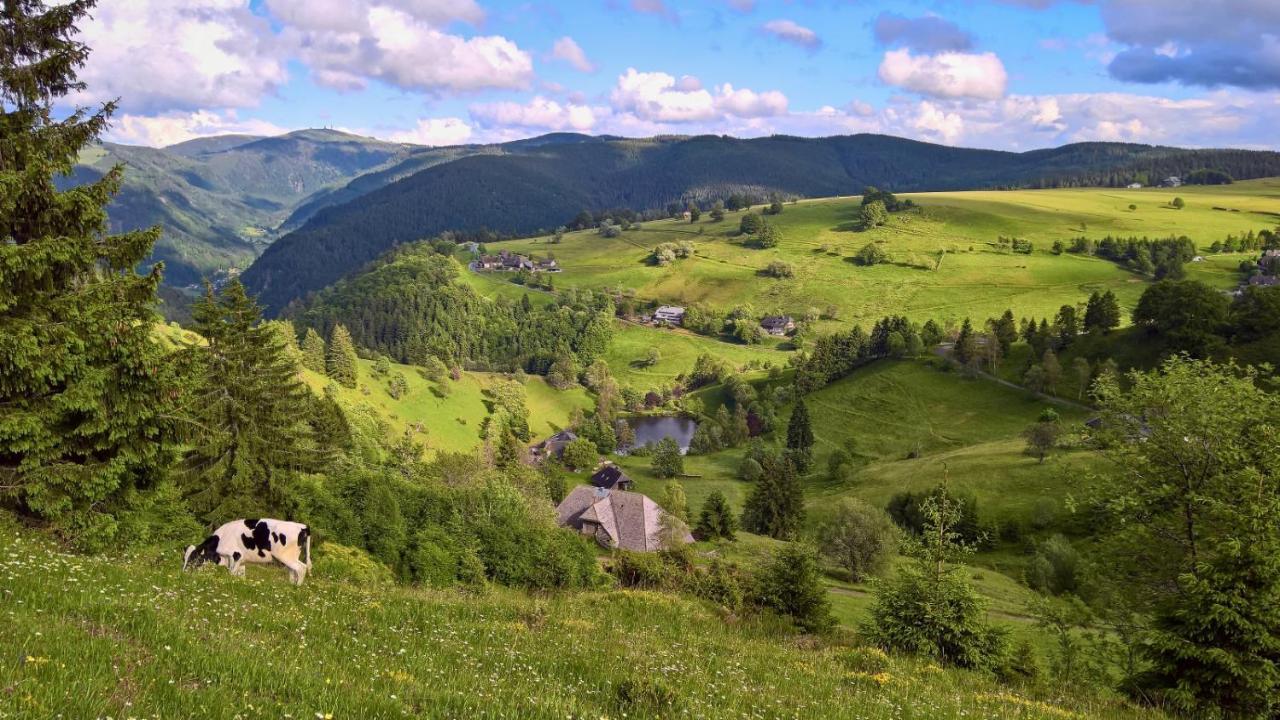 Апартаменты Landhaus Valentin Триберг Экстерьер фото